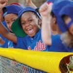 Baseball Fence Crown Corrugated