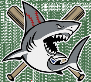 sharks-logo-563x623-1.gif